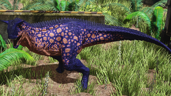 Tsunamite Carno