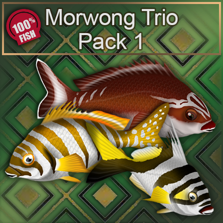 Morwong Trio Pack 1