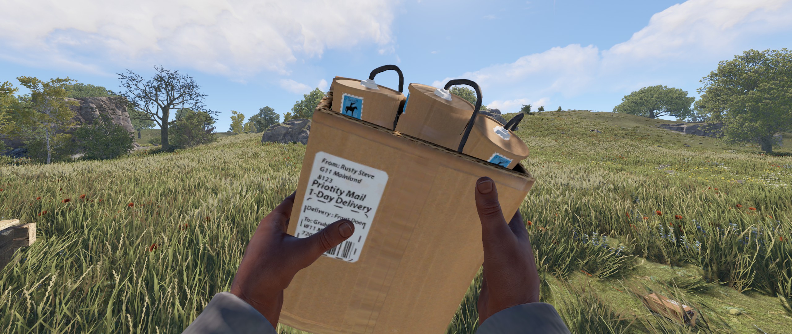 Delivery Satchel