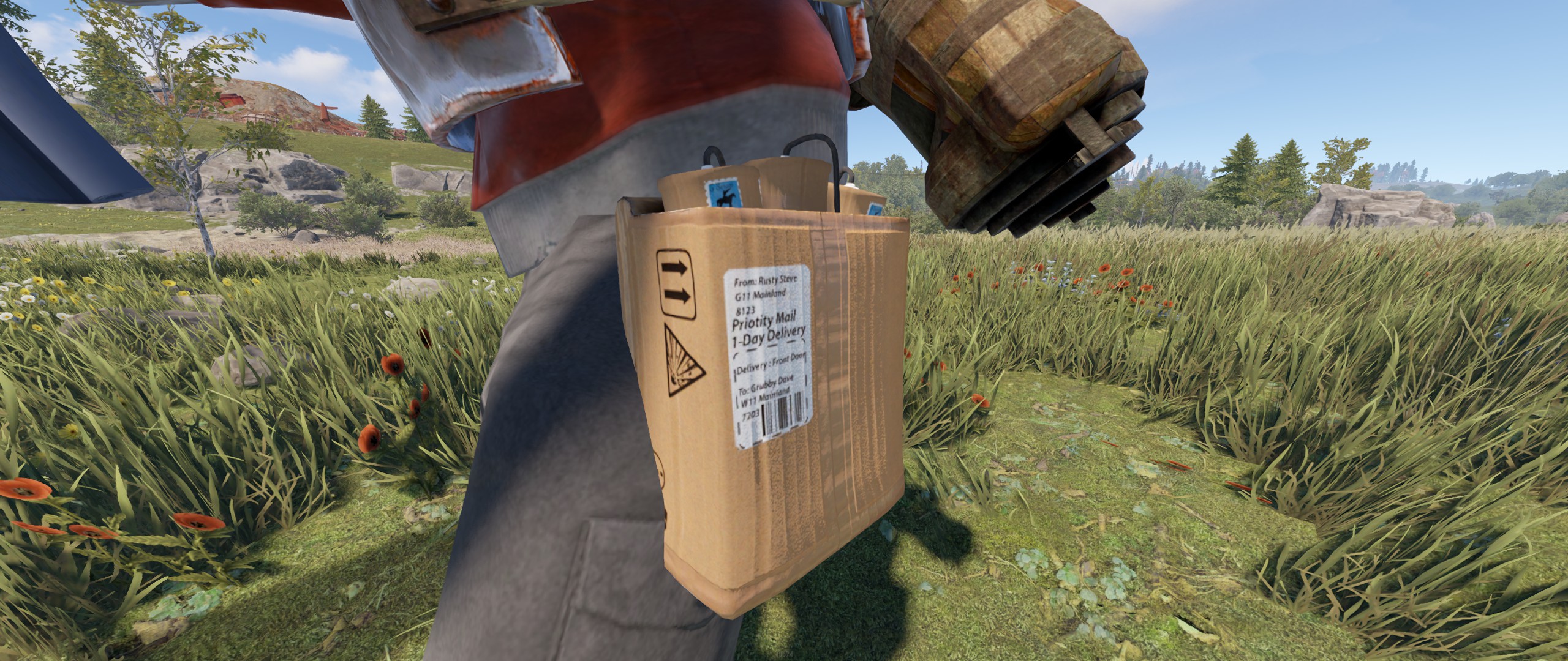 Delivery Satchel