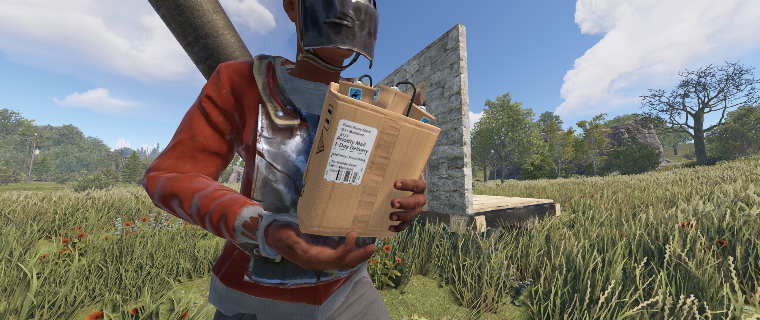 Delivery Satchel