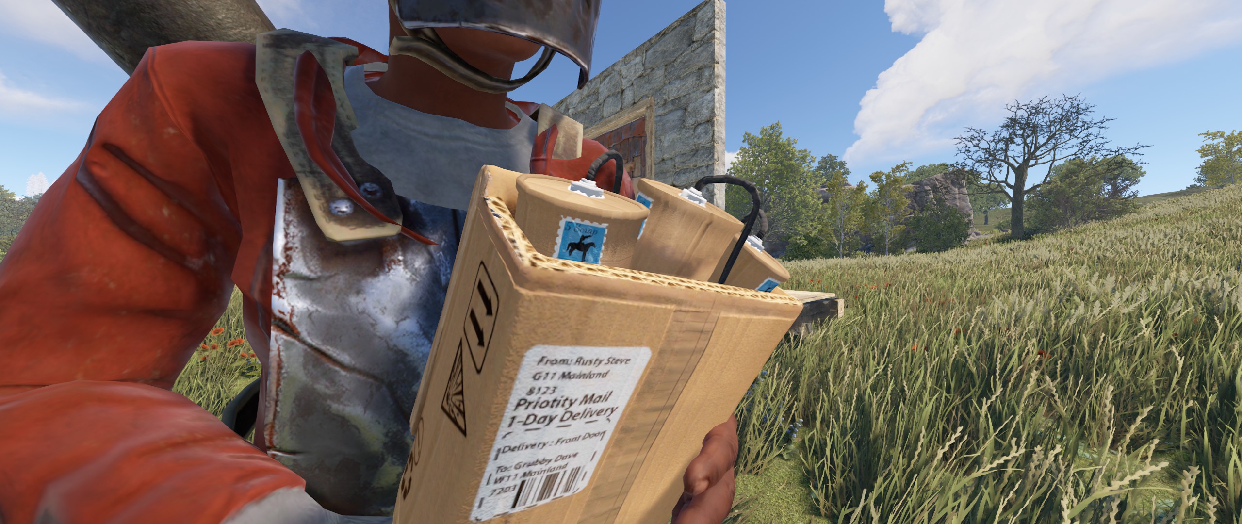 Delivery Satchel
