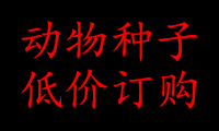 动物种子低价订购