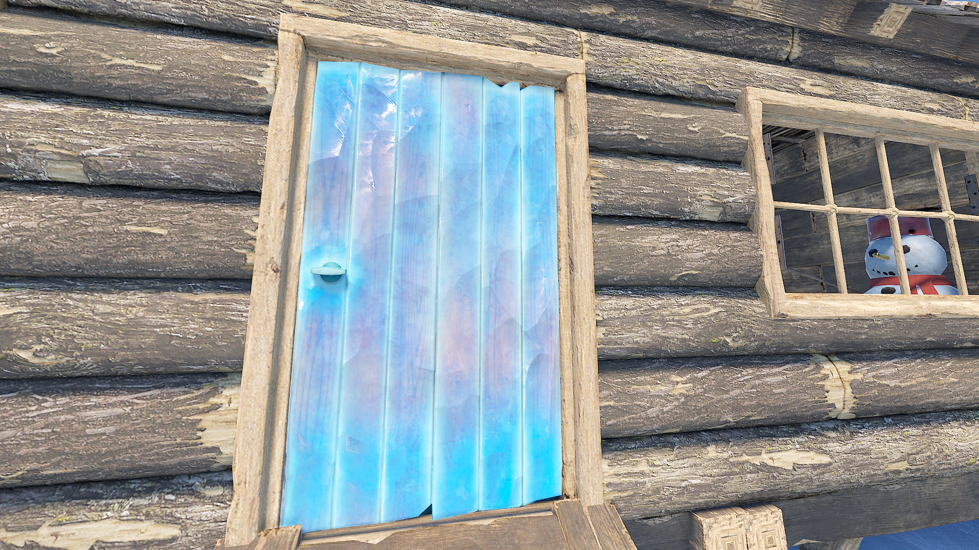 Ice Door