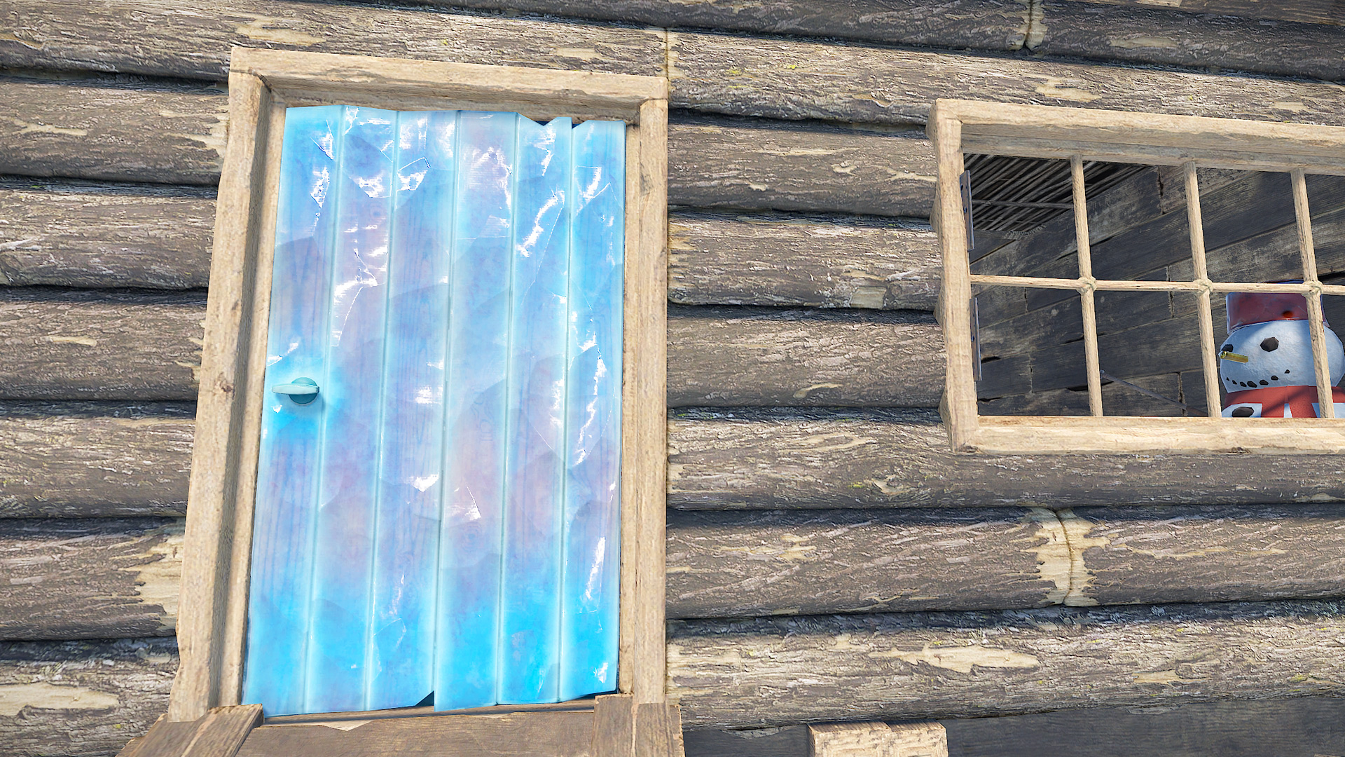 Ice Door