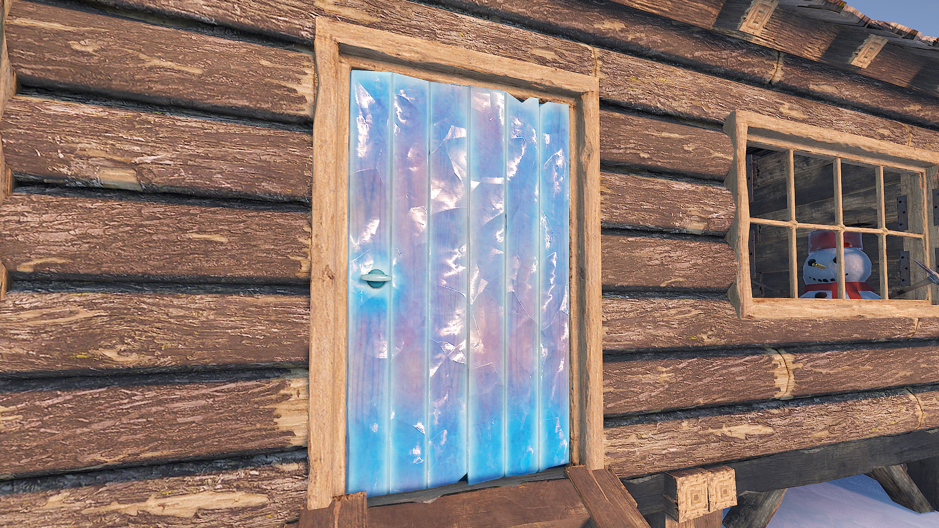 Ice Door