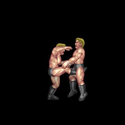 Groin Kick (Vital Spot Kick B)