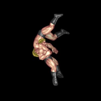 Double Wrist Armsault B