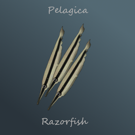 Pelagica - Razorfish