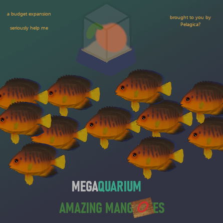 Pelagica - Mango Angelfish