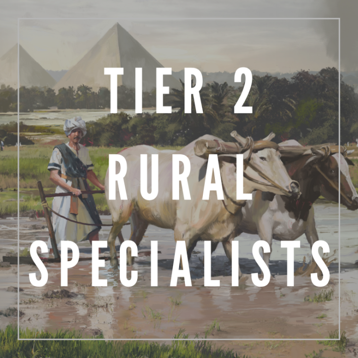 Tier 2 Rural Specialists