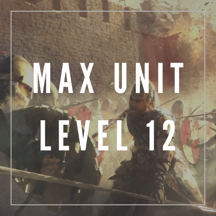 Unit Max Level 12