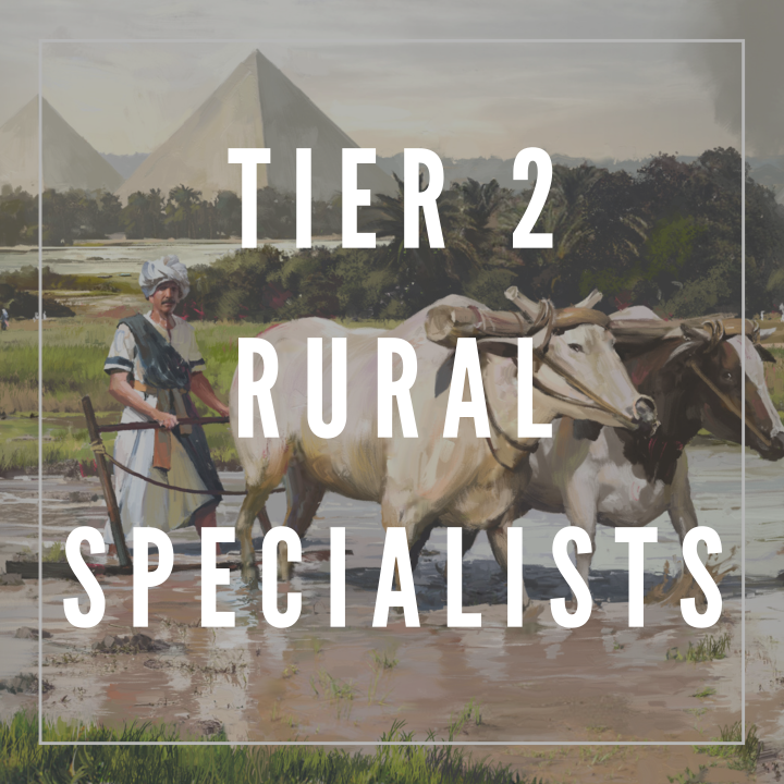 Tier 2 Rural Specialists