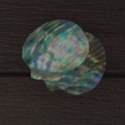 Double Seashell - Iridescent