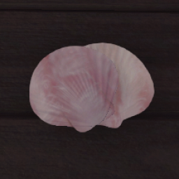  Seashell Double - Pink