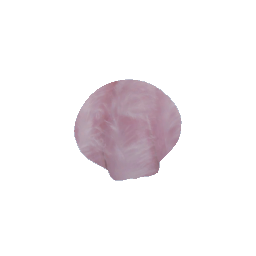 Pink Seashell Wall Decor