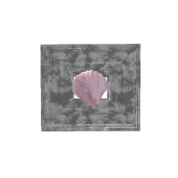 Seashell Hanging Frame V4