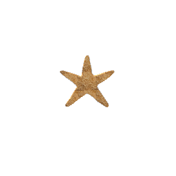 Starfish Standing Decor - Sandy