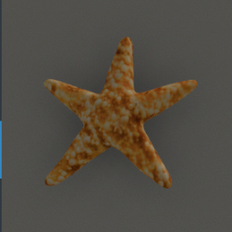 Starfish Wall Decor -Sandy