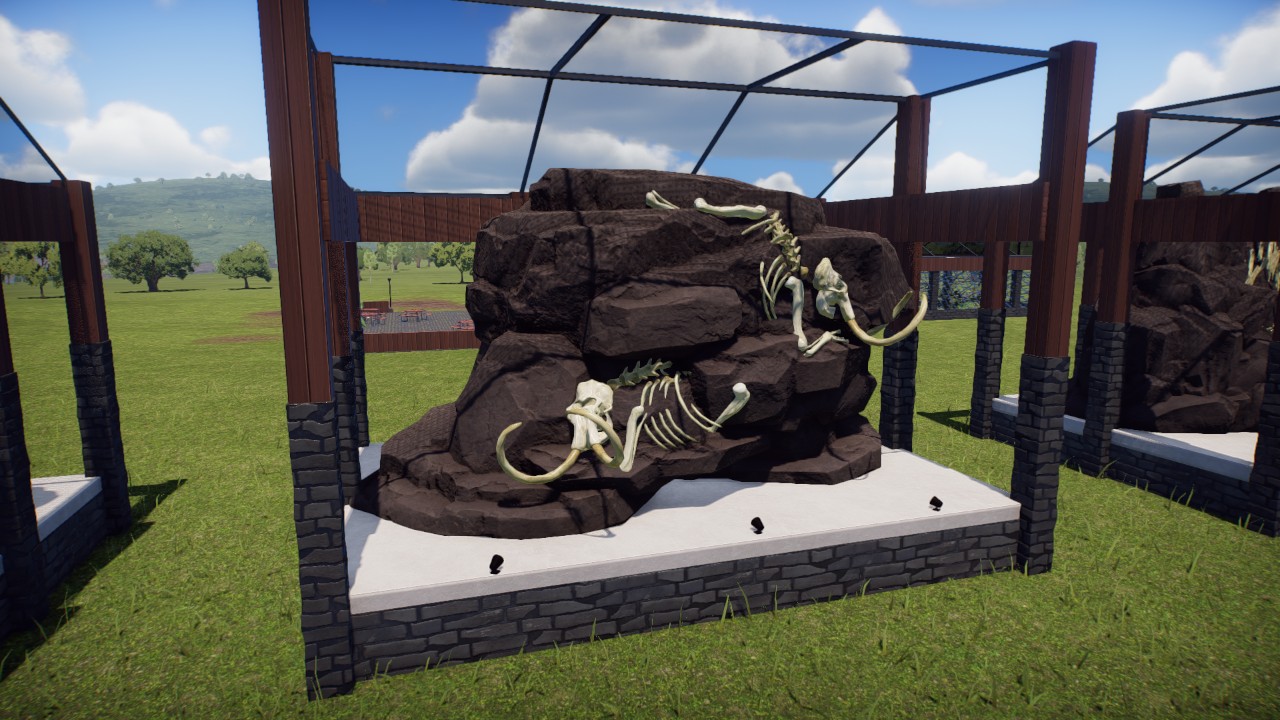 Fossil Display- Mammoth