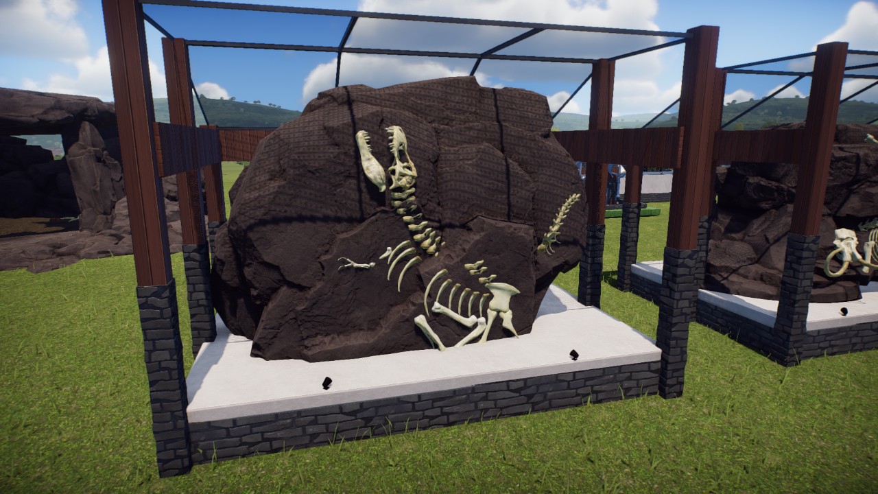 Fossil Display- Tyrannosaur