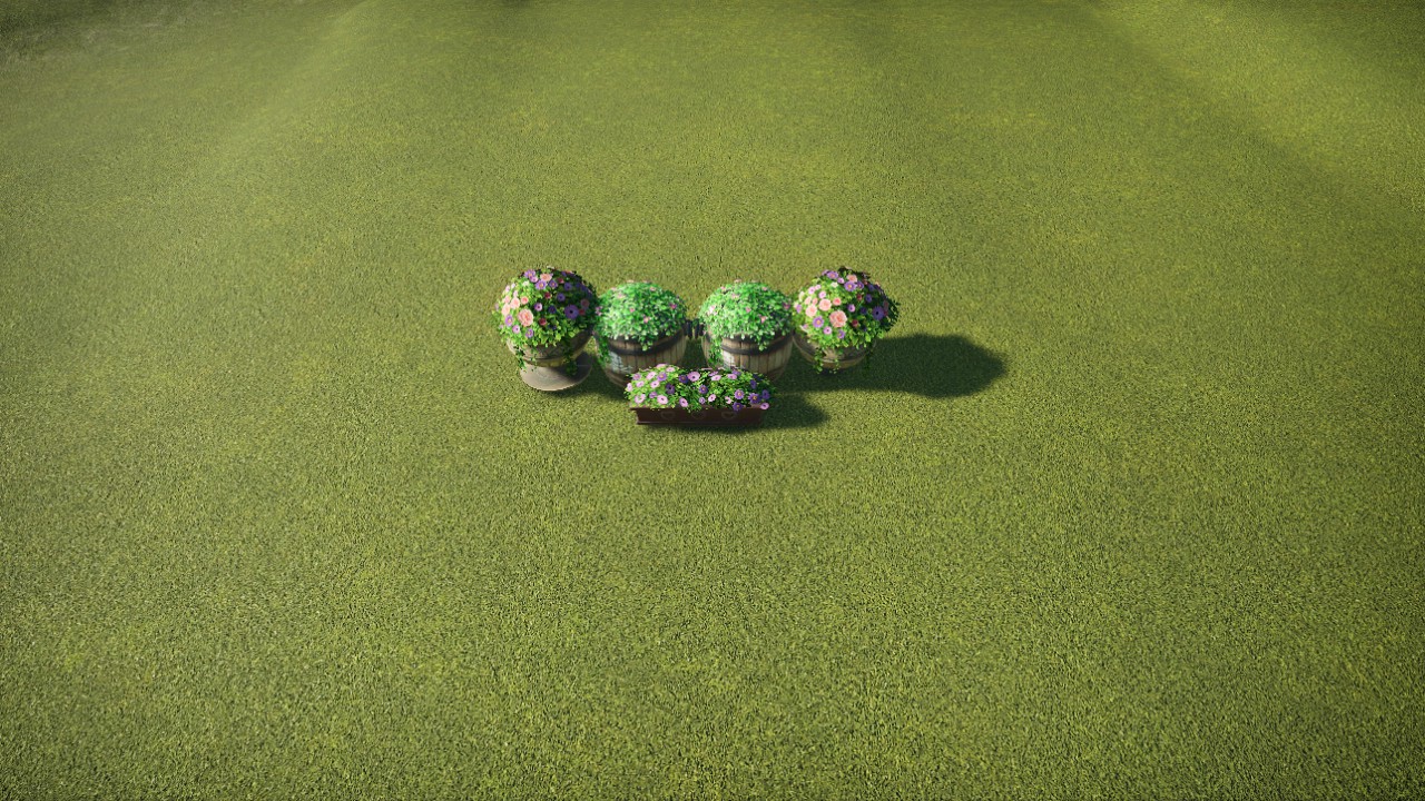 Flowers