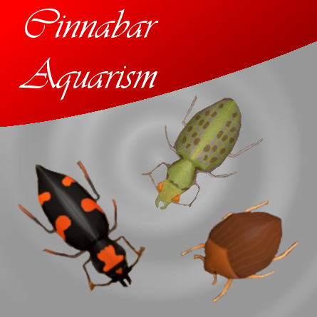 CA - Endangered beetles