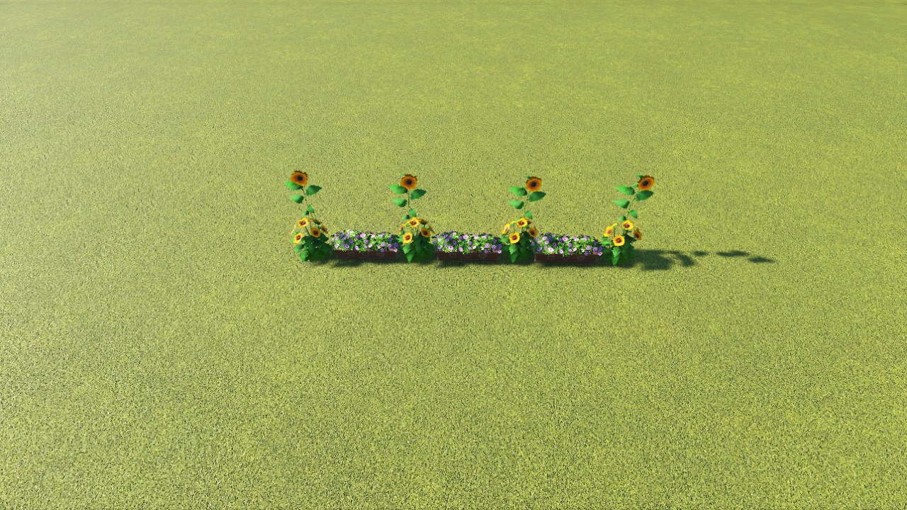 Sunflowers 2