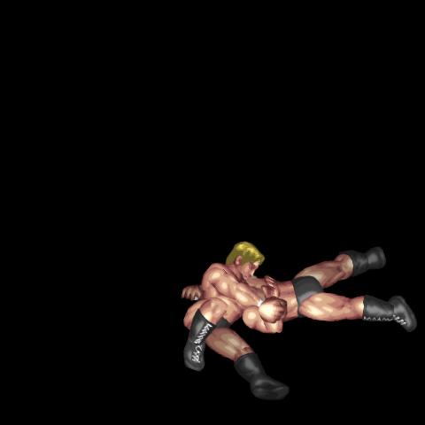 Hammerlock (Sport)