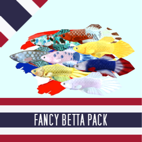 Fancy Betta Pack