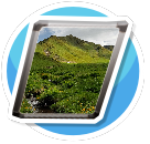 Auvergne18