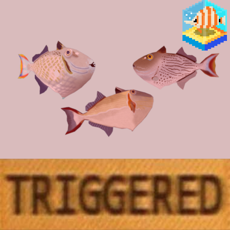 Xanthichthys Triggerfish Pack