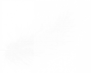 Heaven's fall