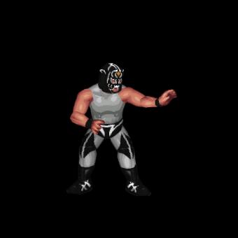 Black Tiger