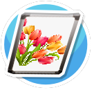 Tulip 2