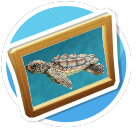 Turtle2