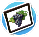 Grapes