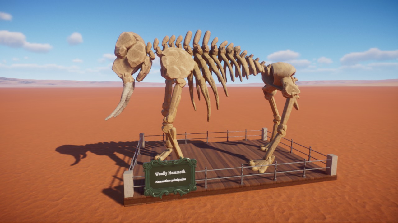 Woolly Mammoth fossil skeleton