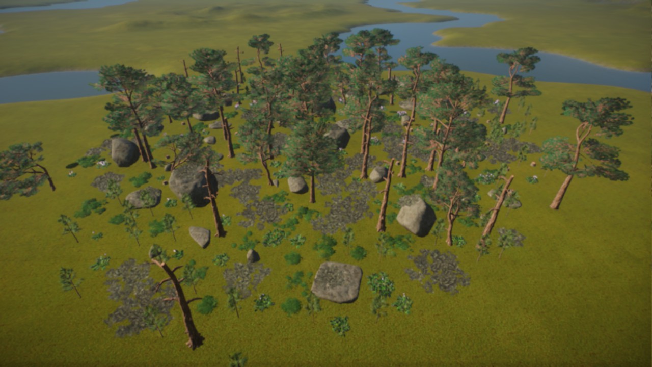 Scotts Pine Forest