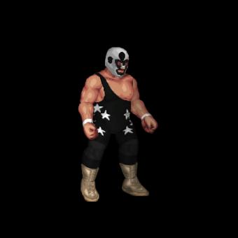 The Masked Superstar