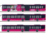 Mercedes Citaro C2 G Telekom Repaints