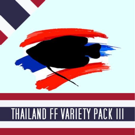 Thailand FF Variety Pack III