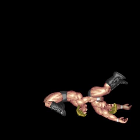 Bridge Vertical German Suplex/ハイブリッジ高角度ジャーマンスープレックス