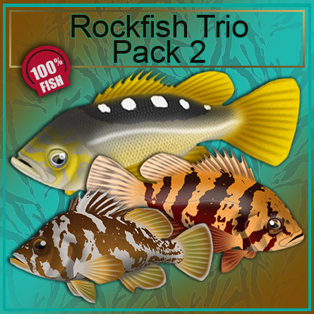 Rockfish Trio Pack 2