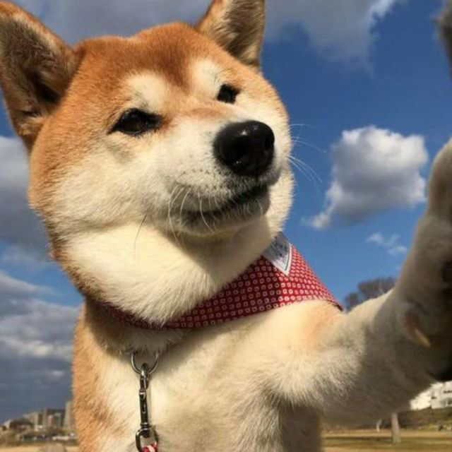无敌的神树 – Don't Starve Together Mod