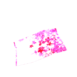 Pleated Rug Magenta Cherry Blossom