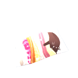 Pleated Rug Sleeping Cat