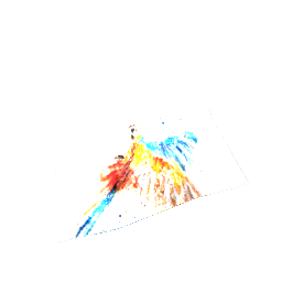 Pleated Rug Parrot