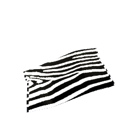 Pleated Rug Zebra Stripe