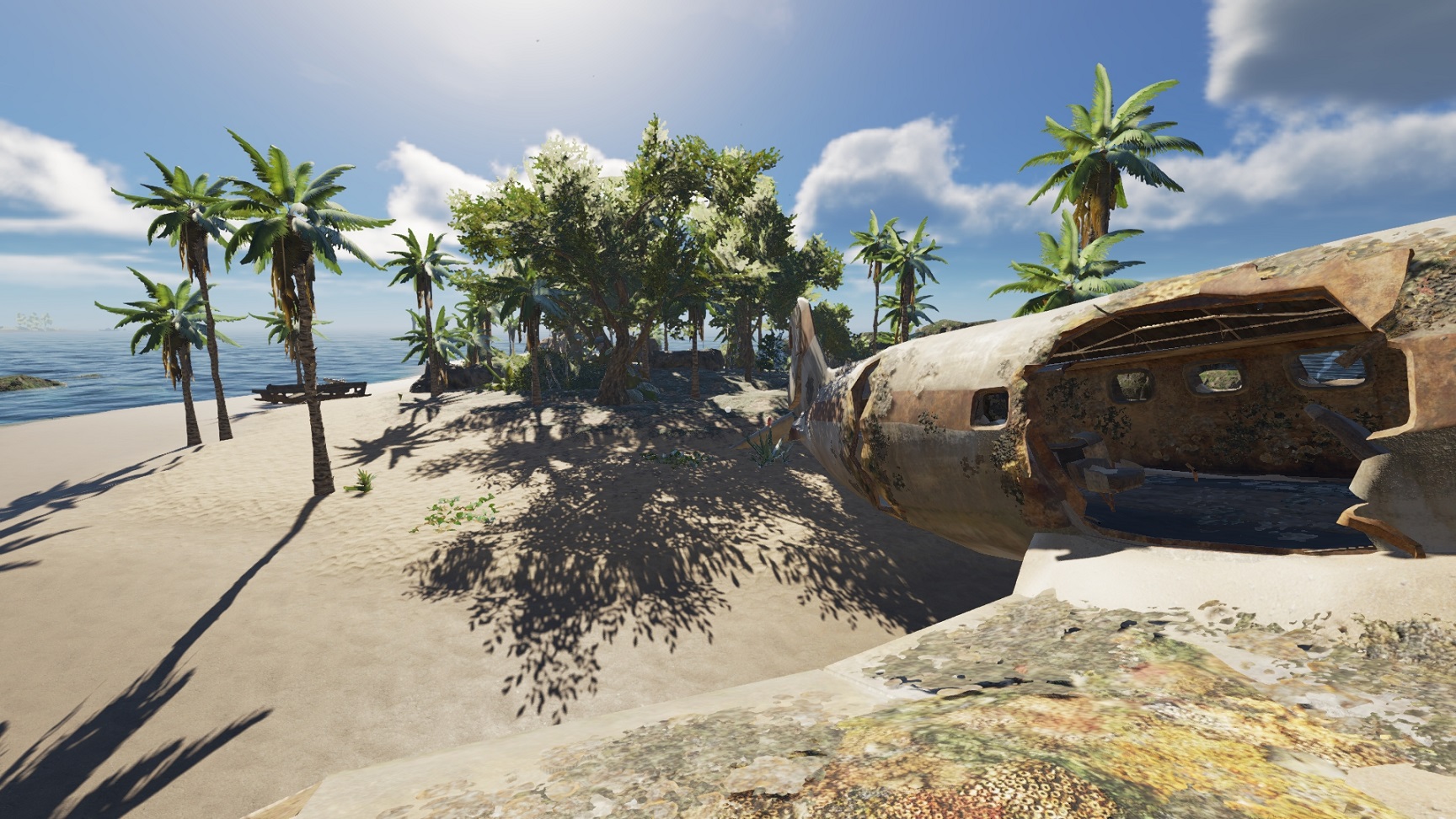 Shipwreck Reef